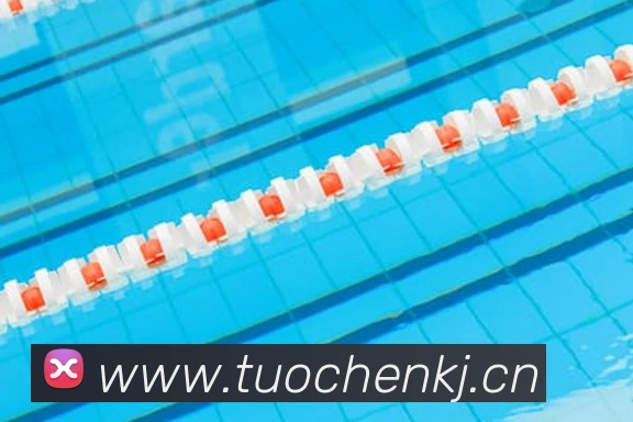 华体育会登录网官网APP 高清赛事图